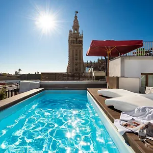 Cathedral Apartment, First Floor , Seville Spain